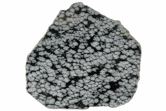 Polished Snowflake Obsidian Section - Utah #117784